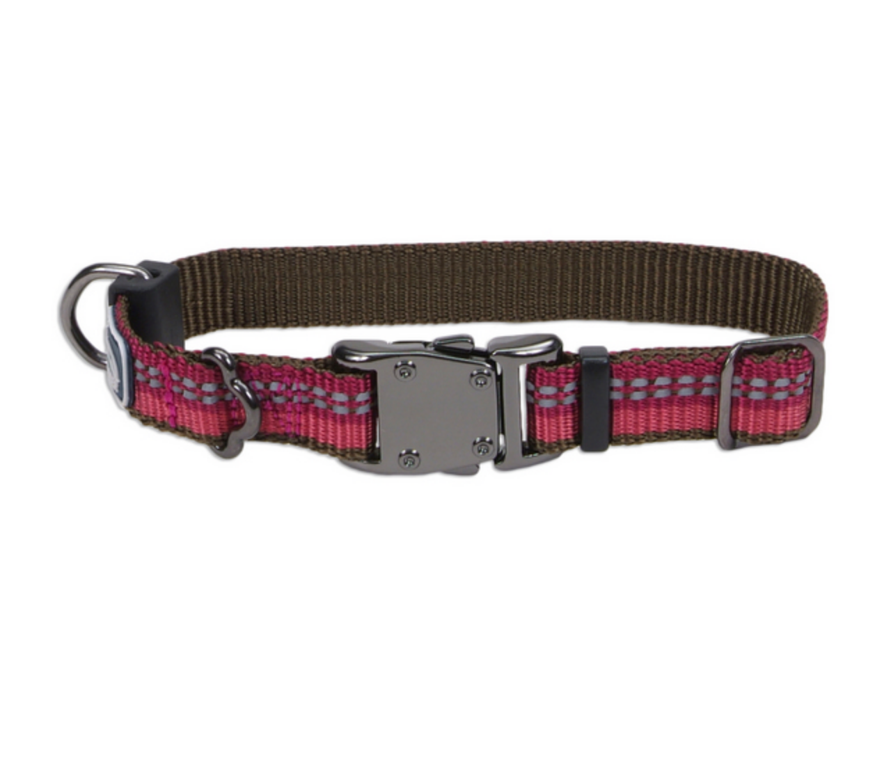 Coastal K9 Explorer Reflective Dog Collar Healthy Pet Austin