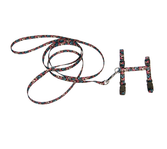 Coastal Adjustable Cat Harness/Leash Combo