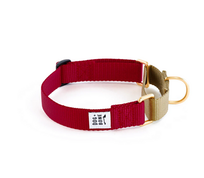 Dog + Bone Martingale Collar Dog + Bone Martingale Collar