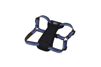 Coastal K9 Explorer Padded Harness