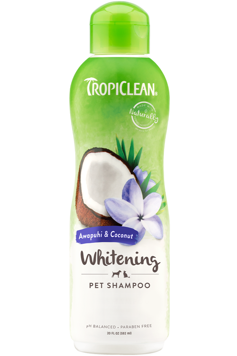 Tropiclean Awapuhi & Coconut Whitening Shampoo 20 oz.