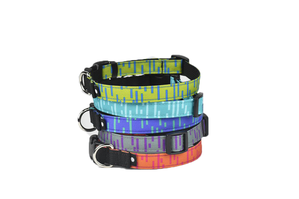 Wildebeest Pacifica Standard Collar