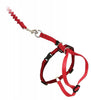Come With Me Kitty Harness Come With Me Kitty Harness