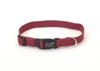 Coastal Soy Dog Collar Coastal Soy Dog Collar