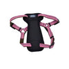 Coastal K9 Explorer Padded Harness Coastal K9 Explorer Padded Harness