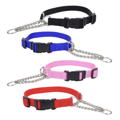 Coastal Check Training Collar with Buckle Coastal Check Training Collar with Buckle