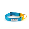 Dog + Bone Martingale Collar Dog + Bone Martingale Collar
