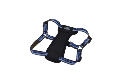 Coastal K9 Explorer Padded Harness