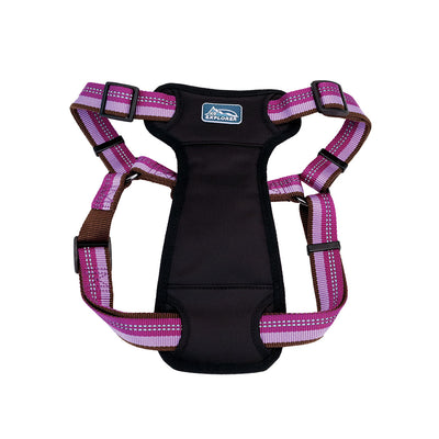 Coastal K9 Explorer Padded Harness Coastal K9 Explorer Padded Harness