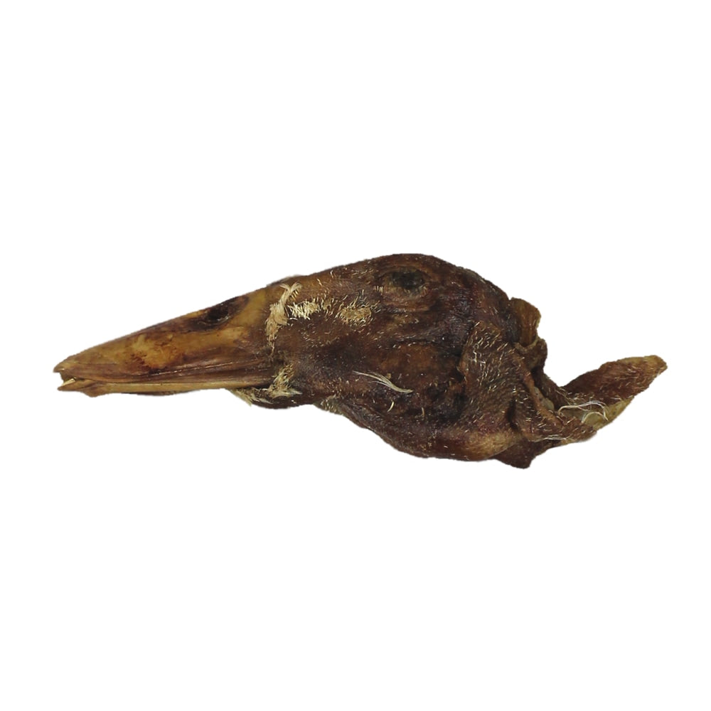 Dried duck heads outlet for dogs