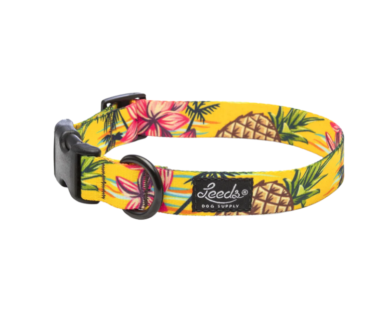 Leeds Dog Supply Collar
