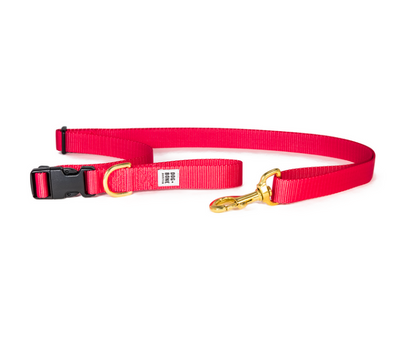 Dog + Bone Adjustable Leash Dog + Bone Adjustable Leash