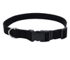 Coastal Soy Dog Collar Coastal Soy Dog Collar