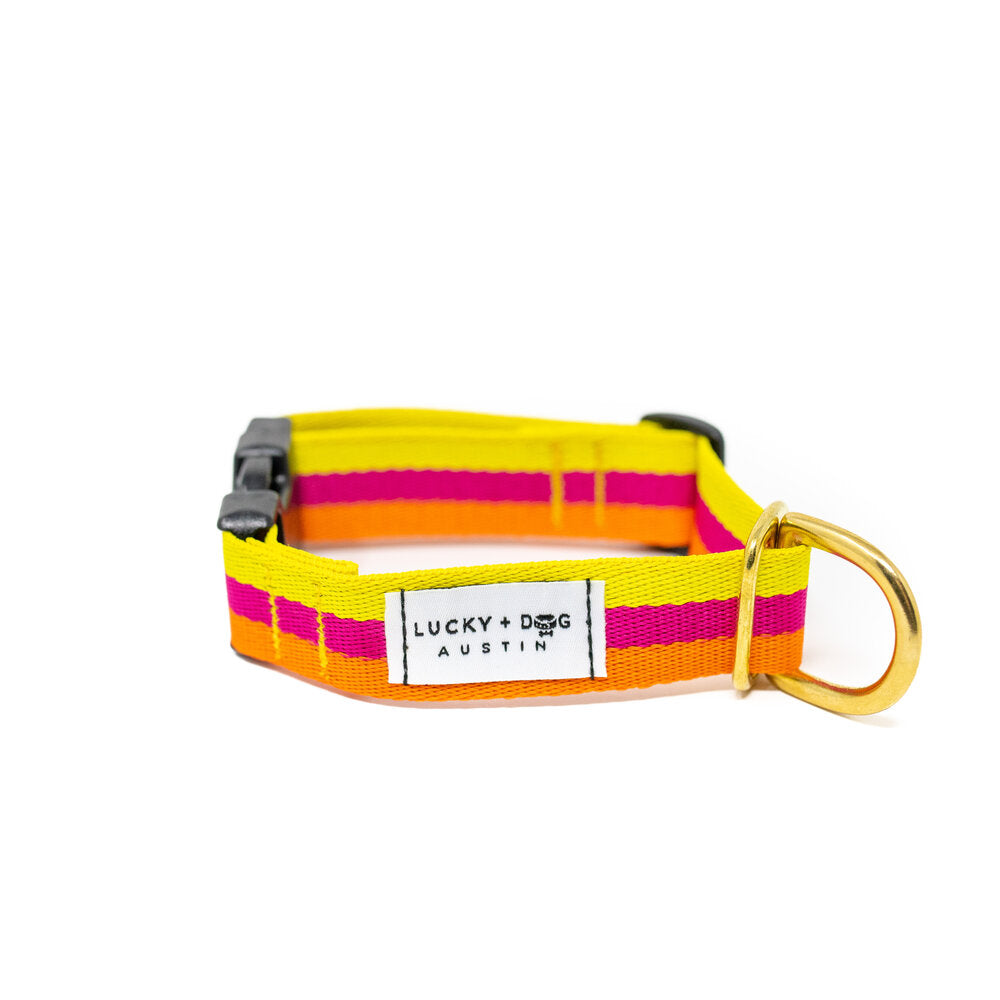 Lucky + Dog Austin Every Day Collar