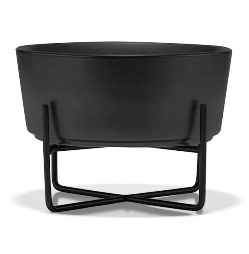 Waggo Simple Solid Dog Bowl + Stand