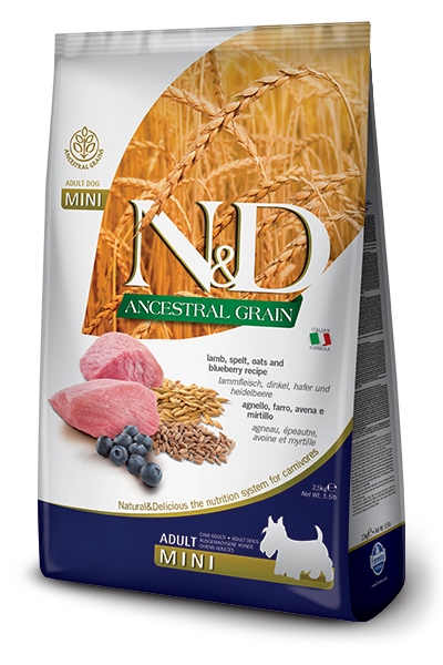 Farmina N&D Ancestral Grain Lamb & Blueberry Mini Breed