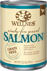 Wellness Grain-Free 95% Salmon