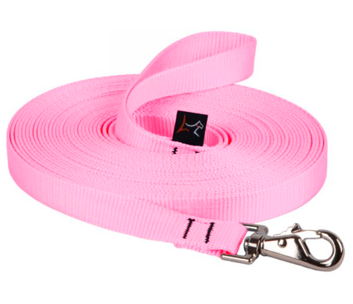 Lupine Training Lead