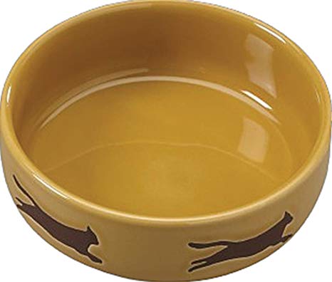 Southwest Cat Bowl
