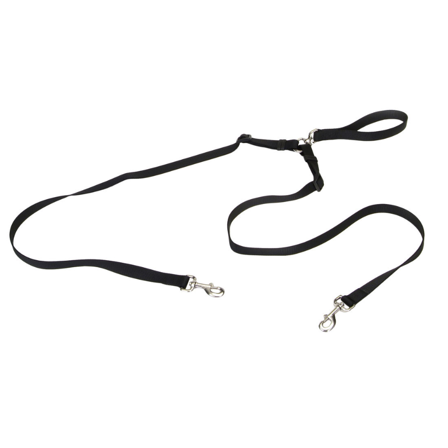 Coastal Two Dog Walker Leash