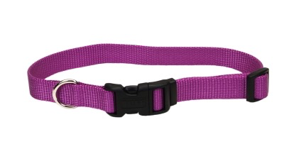 Coastal Adjustable Dog Collar with Plastic Buckle