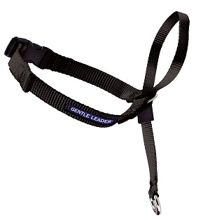Gentle Leader Headcollar
