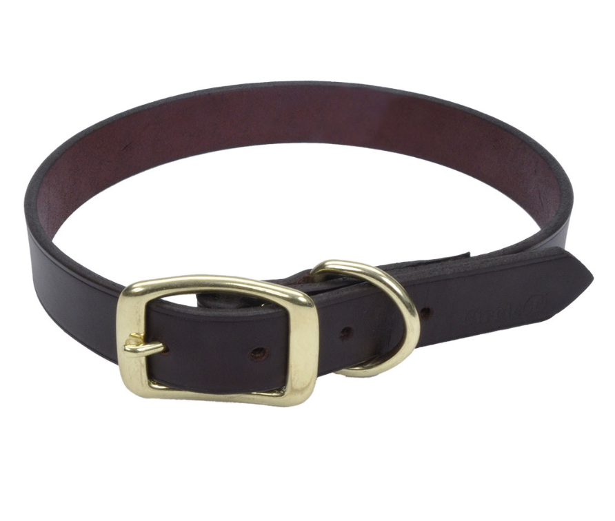 Coastal Latigo Brown Leather With Brass