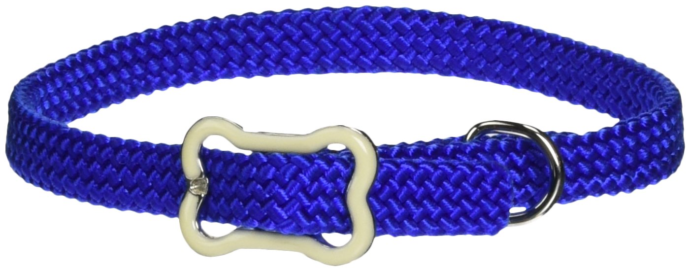 Coastal Sunburst Dog Collar with Bone Buckle