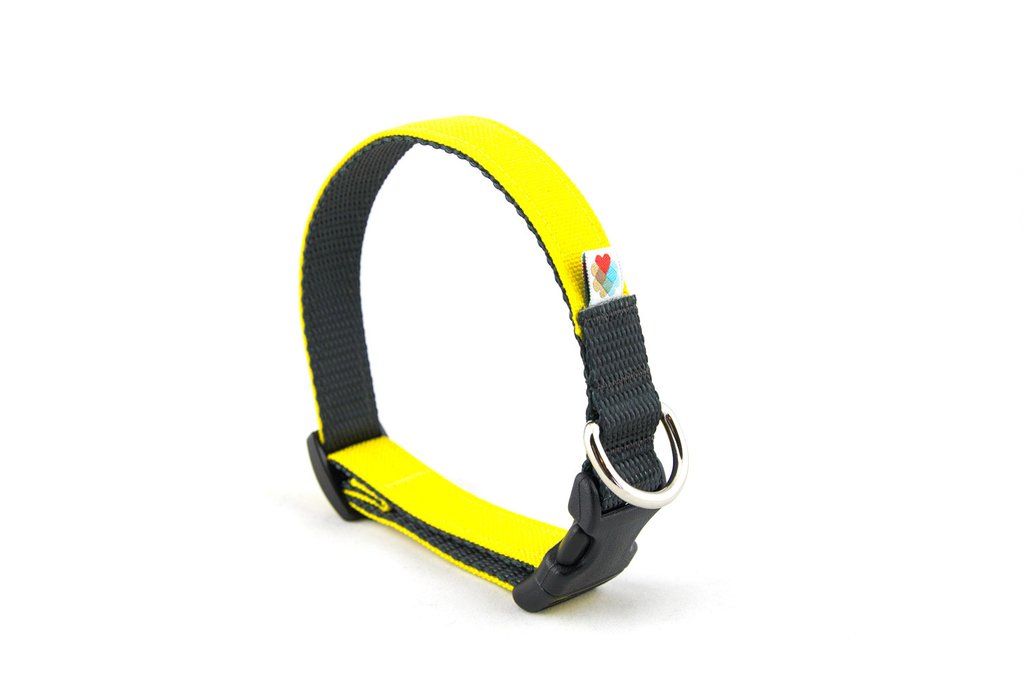 Wildebeest Funston Collar