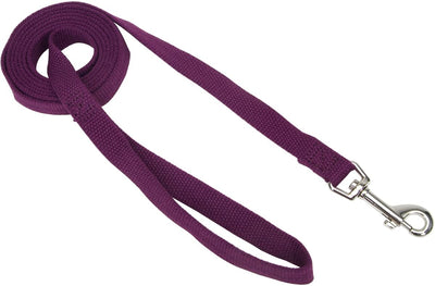 Coastal Soy Leash Coastal Soy Leash