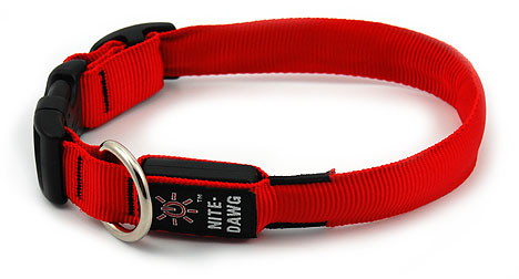 NiteIze NiteDawg LED Collar Healthy Pet Austin