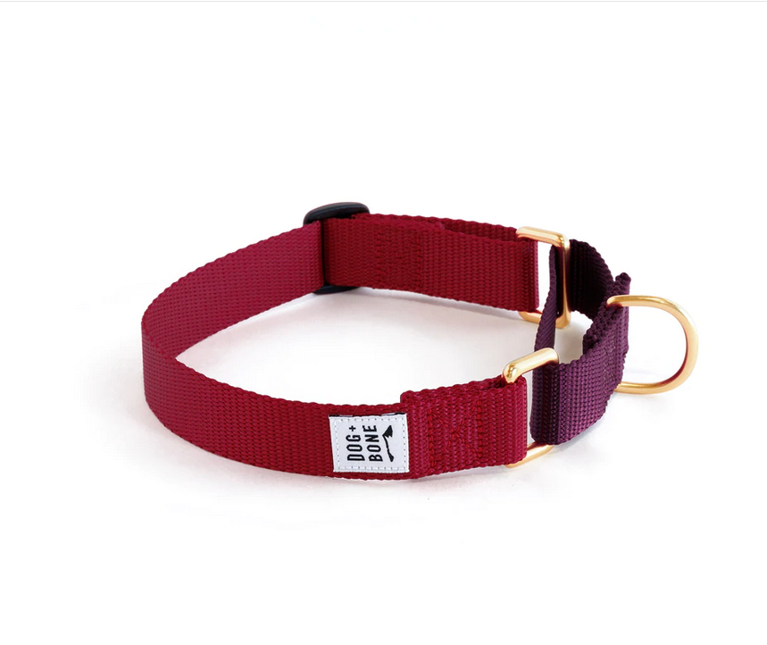 Dog + Bone Martingale Collar