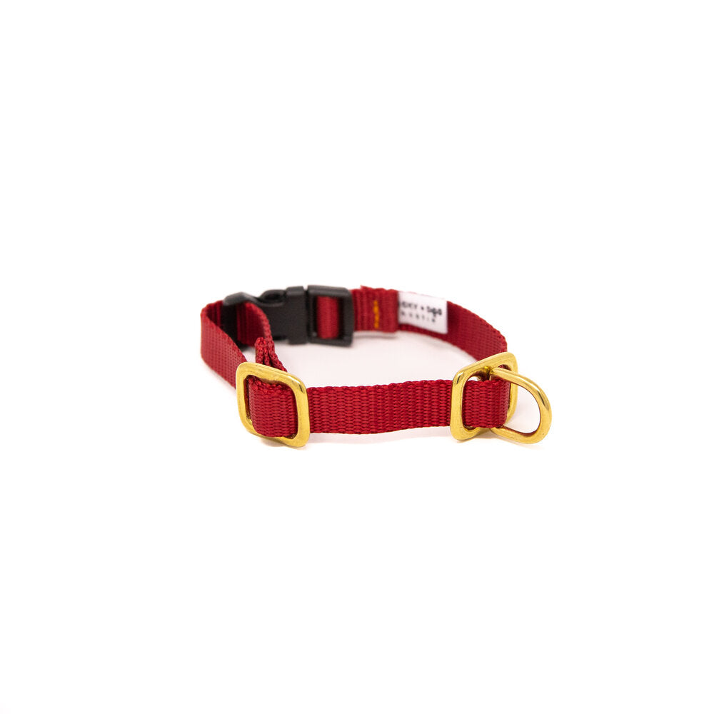 Lucky + Dog Austin Puppy Collar