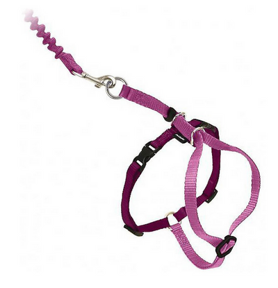 Come With Me Kitty Harness Come With Me Kitty Harness