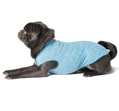 Goldpaw Sun Shield Tee Goldpaw Sun Shield Tee