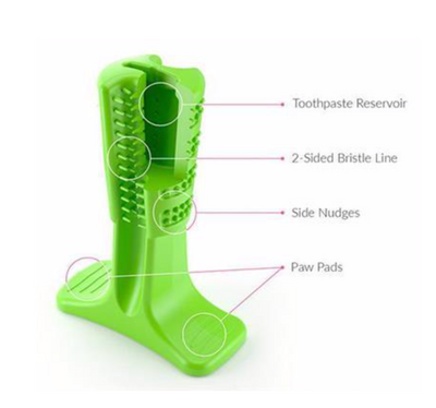 Bristly DIY Toothbrush Bristly DIY Toothbrush