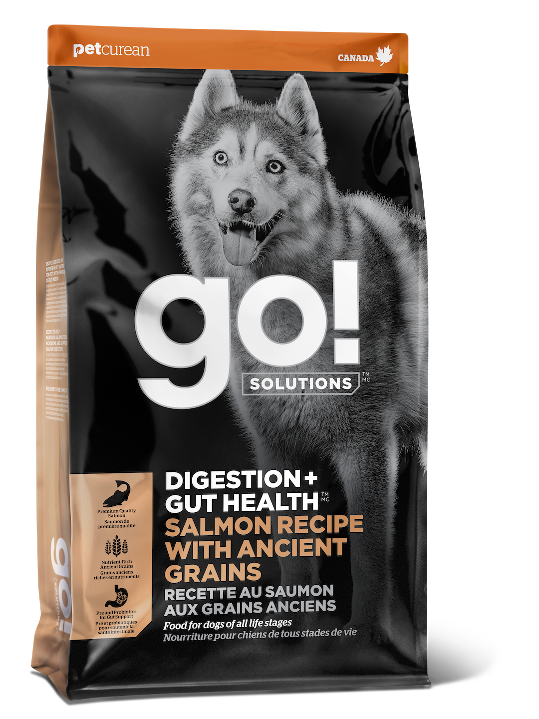 Go! Solutions Digestion + Gut Health Salmon With Ancient Grains