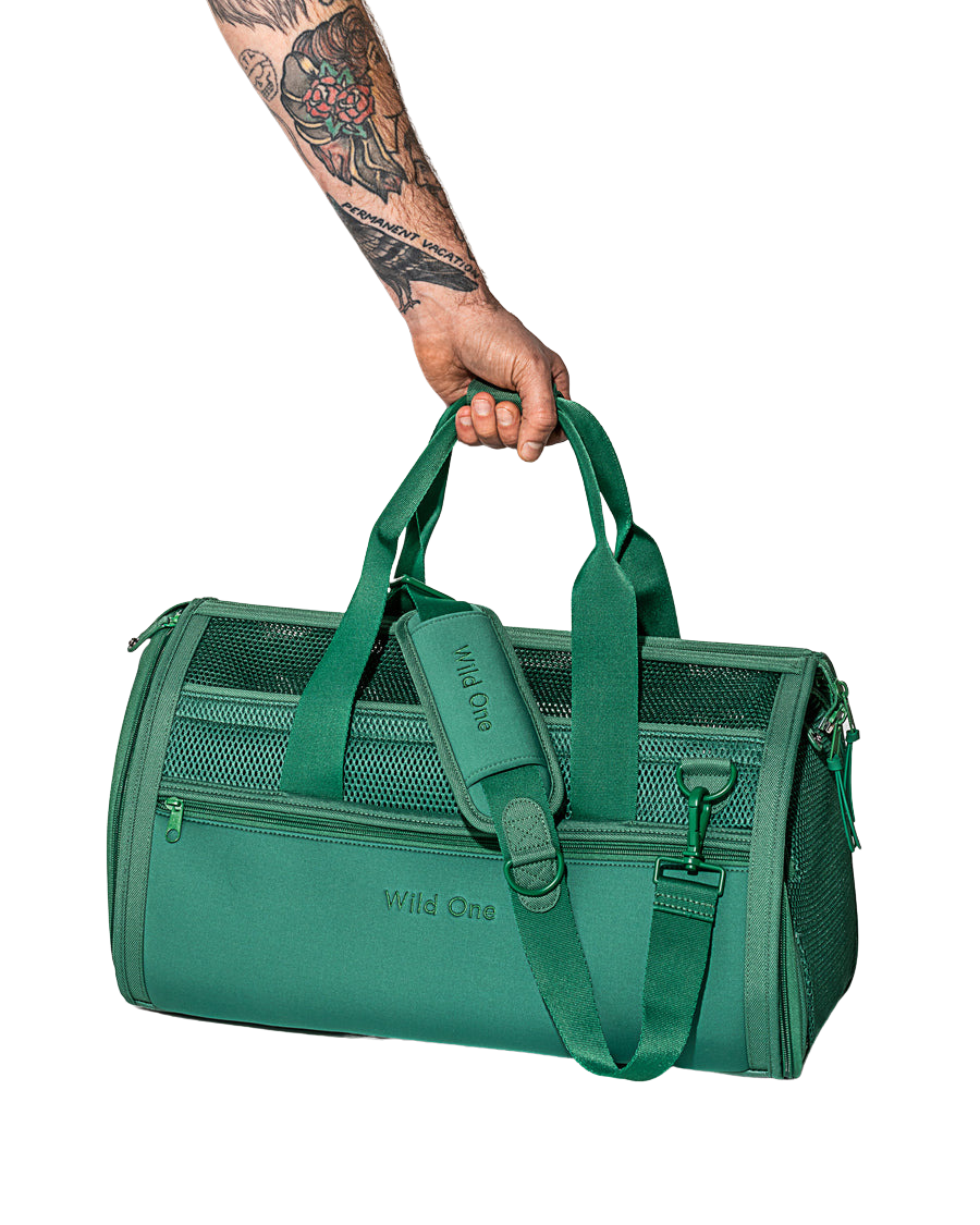 Wild One Pet Travel Carrier – Healthy Pet Austin
