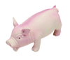 Coastal Grunting Pig Coastal Grunting Pig