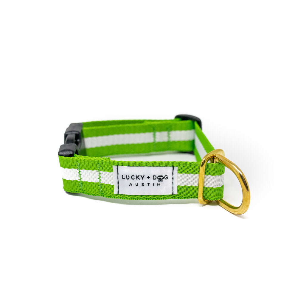 Lucky + Dog Austin Every Day Collar
