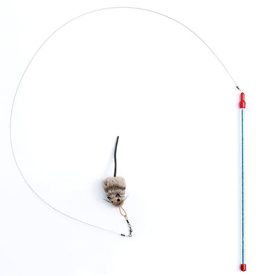 Go Cat Cat Catcher Go Cat Cat Catcher