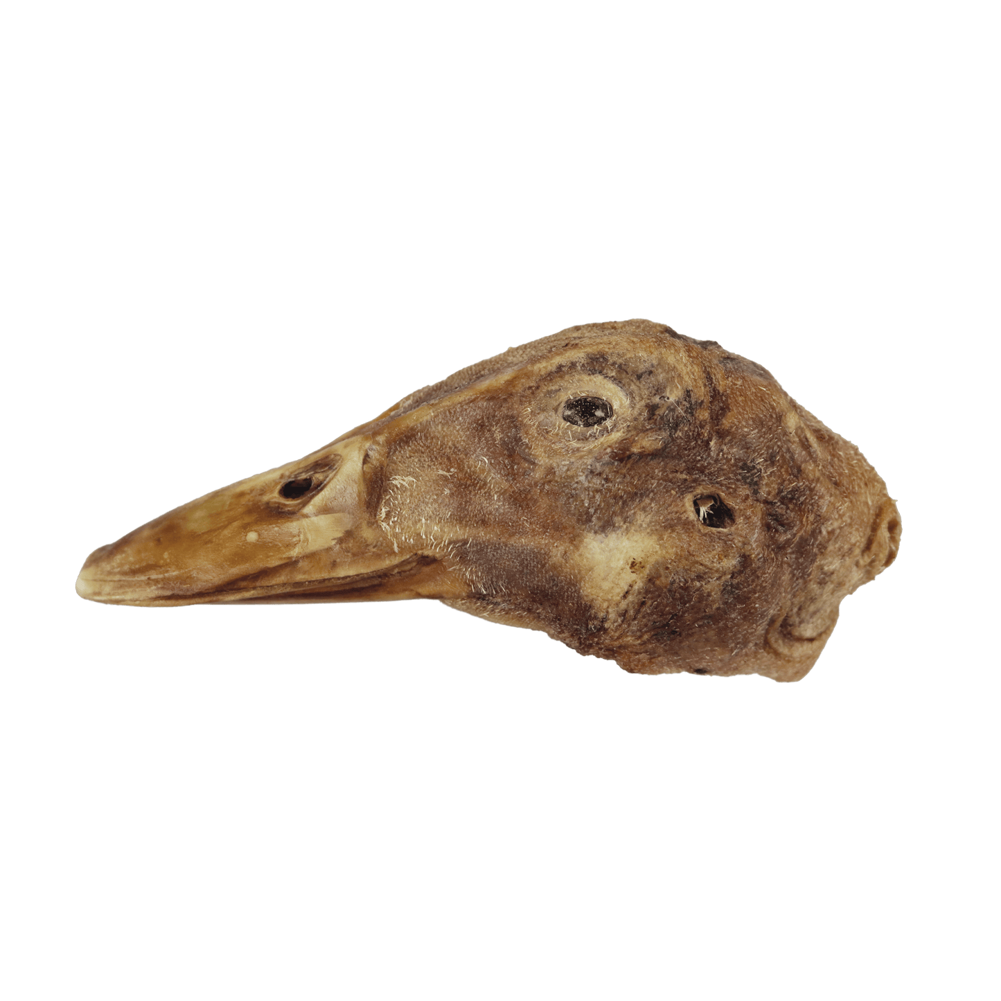 Bones & Co Freeze Dried Duck Head