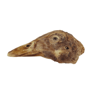 Vital Essentials Freeze Dried Duck Head Vital Essentials Freeze Dried Duck Head