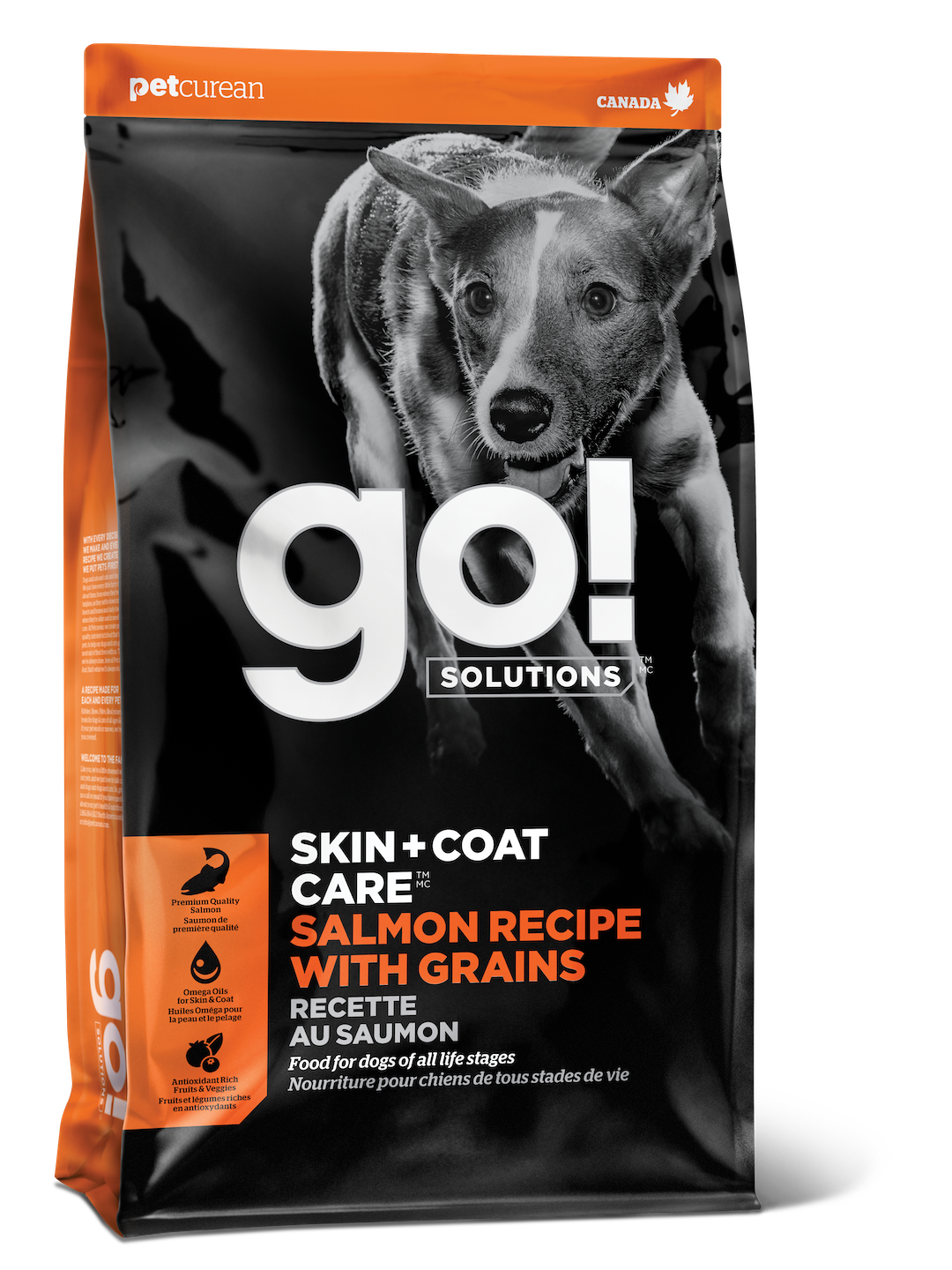 Go! Skin & Coat Care with Grain Salmon