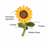 P.L.A.Y. Blooming Buddies Sassy Sunflower P.L.A.Y. Blooming Buddies Sassy Sunflower