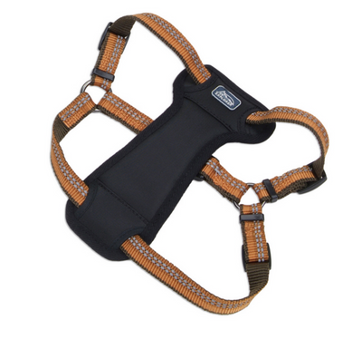 Coastal K9 Explorer Padded Harness Coastal K9 Explorer Padded Harness