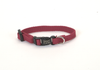 Coastal Soy Dog Collar Coastal Soy Dog Collar