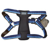 Coastal K9 Explorer Padded Harness Coastal K9 Explorer Padded Harness