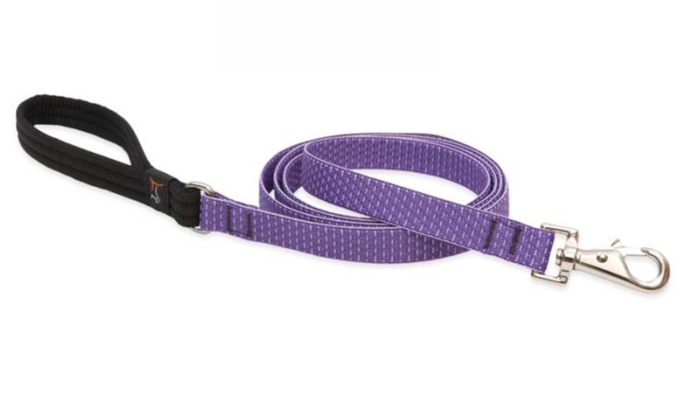 Lupine Eco Collection Leash