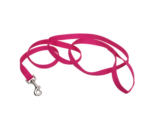 Coastal Single-Ply Nylon Leash